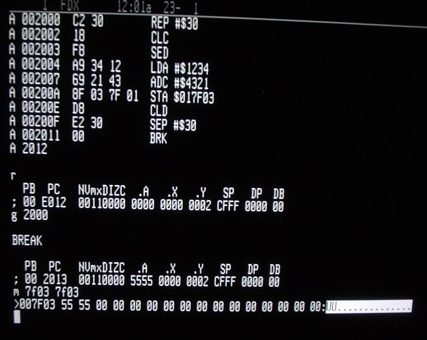x86_64 Assembly (NASM)